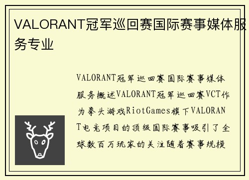 VALORANT冠军巡回赛国际赛事媒体服务专业