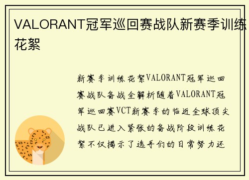 VALORANT冠军巡回赛战队新赛季训练花絮