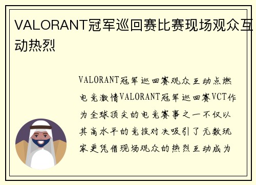 VALORANT冠军巡回赛比赛现场观众互动热烈